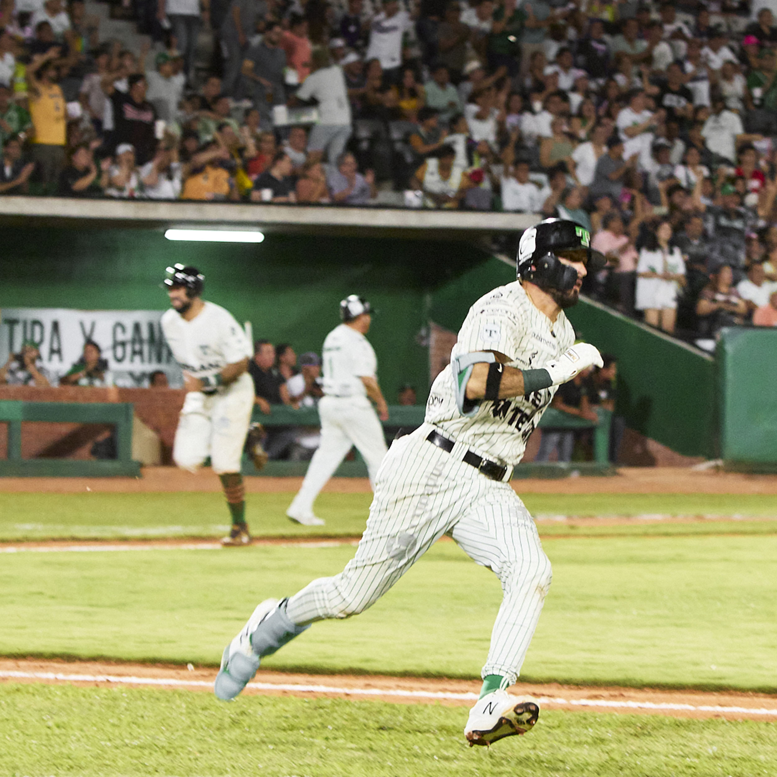 OLMECAS DE TABASCO DEPORTES MLB FOTOGRAFÍAS ADRIEL CANCHÉ FOTÓGRAFO4
